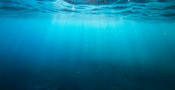 Blue Ocean — where's the fish?