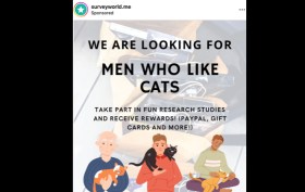 Men Who Like Cats market research ad