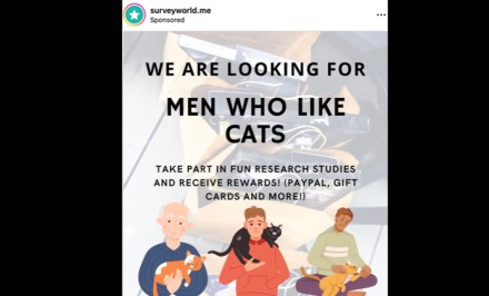Men Who Like Cats market research ad