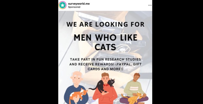 Men Who Like Cats market research ad