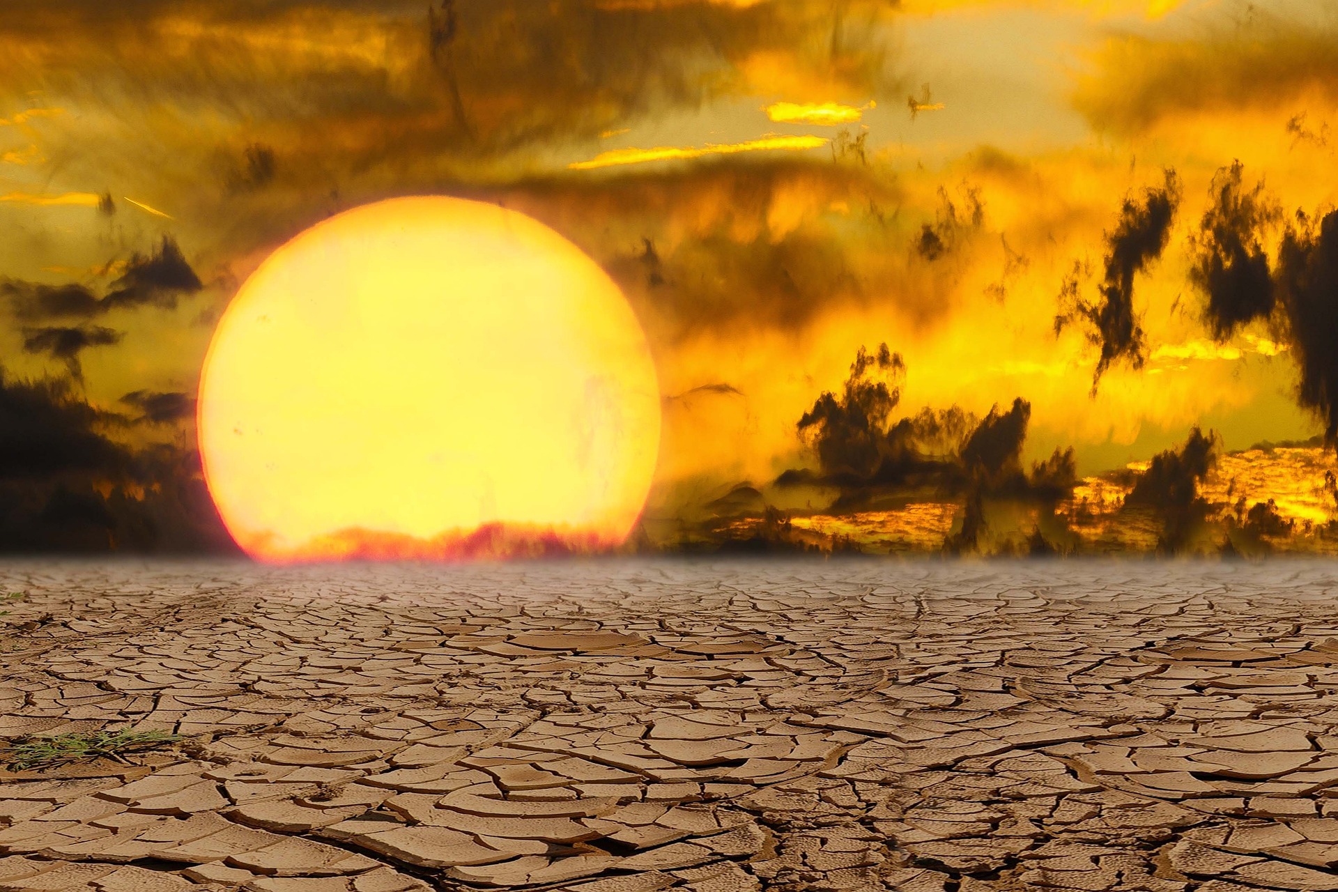 Background