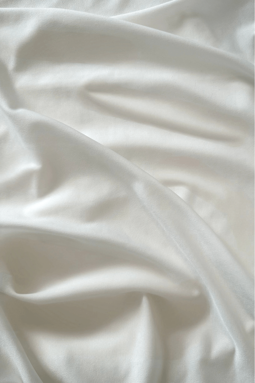 premium jersey blanc pur