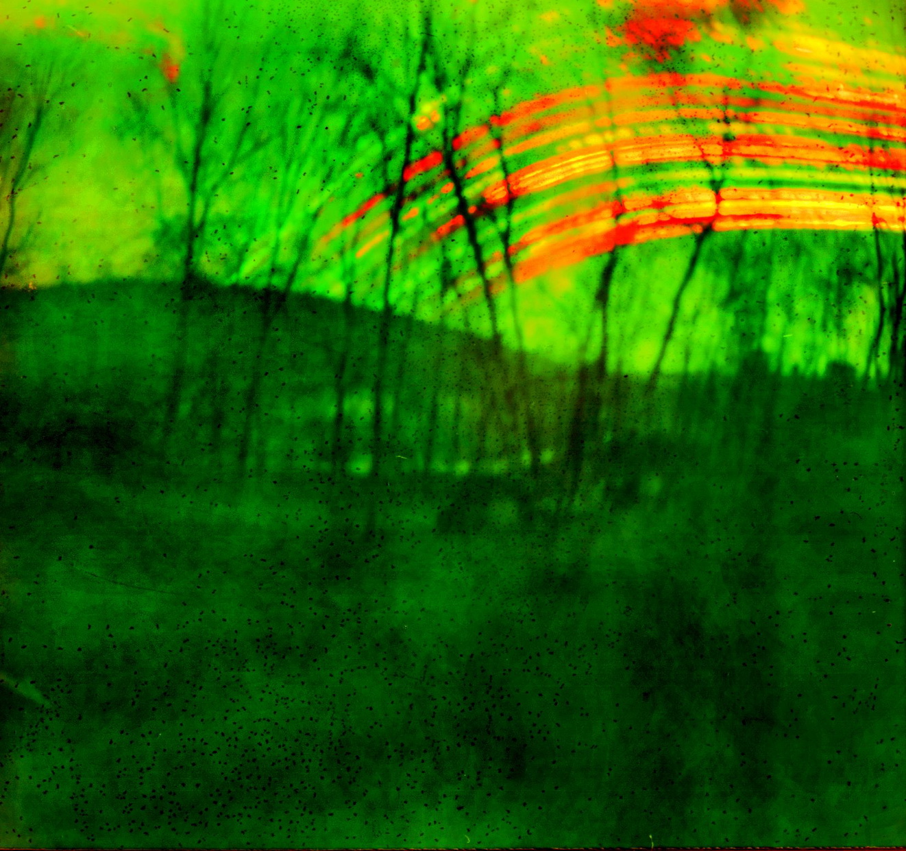 catskills 078/2 Sandy Garz