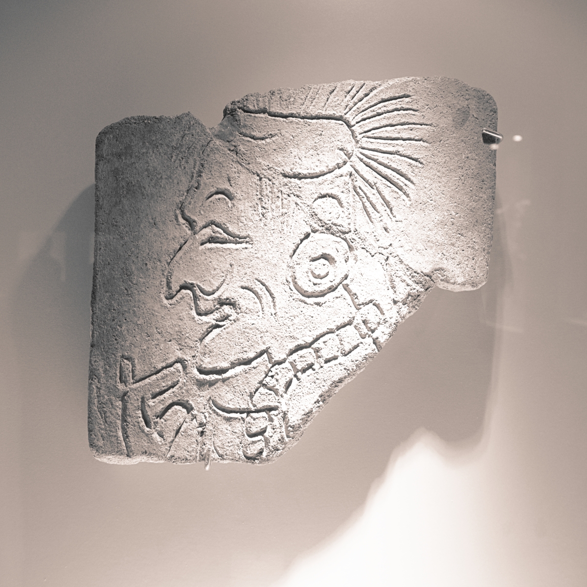 P1133431