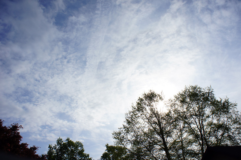 瞑想にハマり過ぎてた感があったので、実験してみた。
