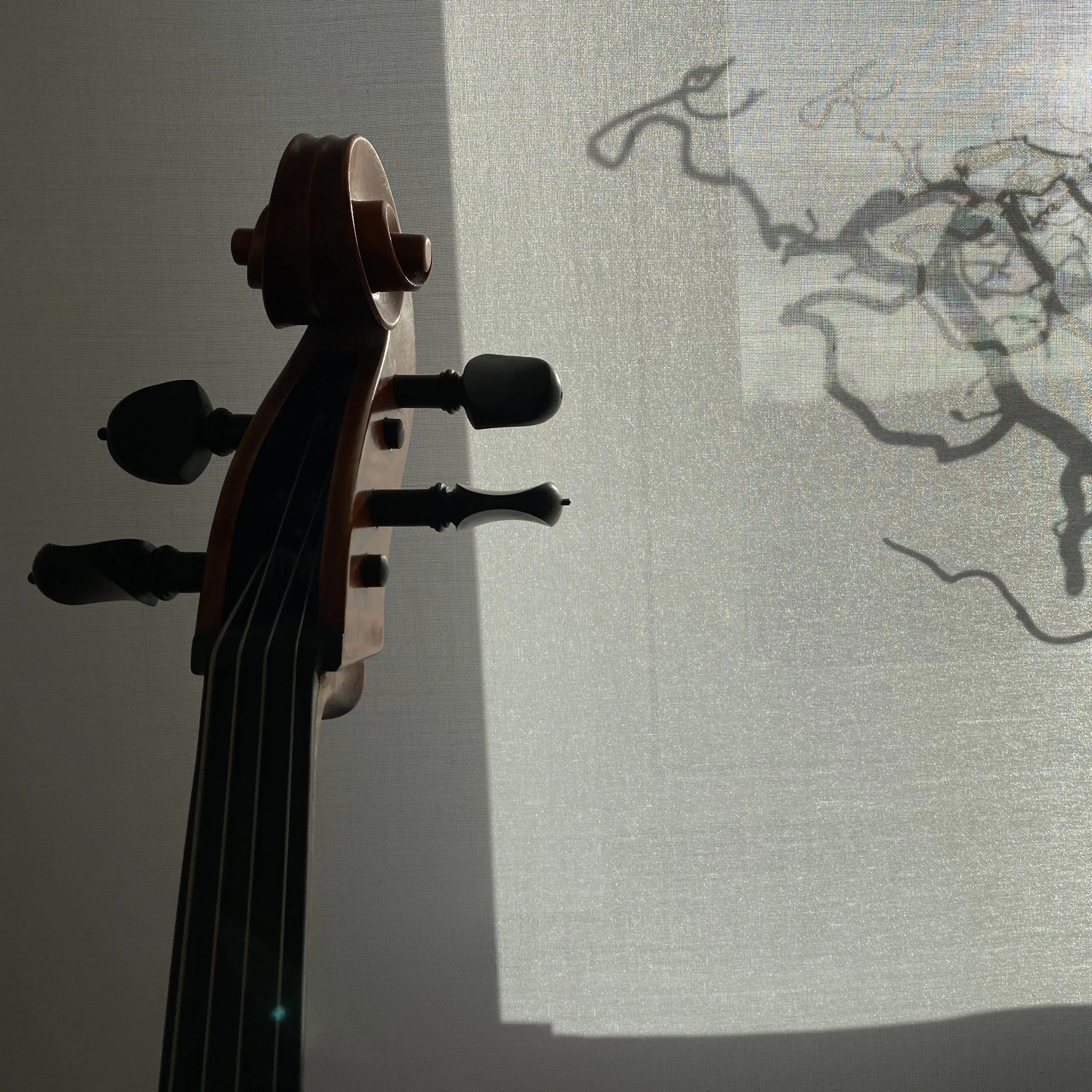 Steg von Cello vor dem Fenster