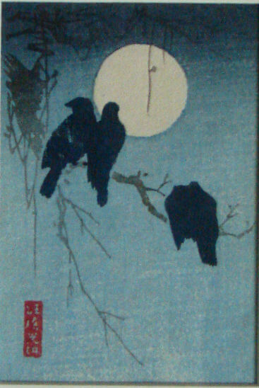 crows crows