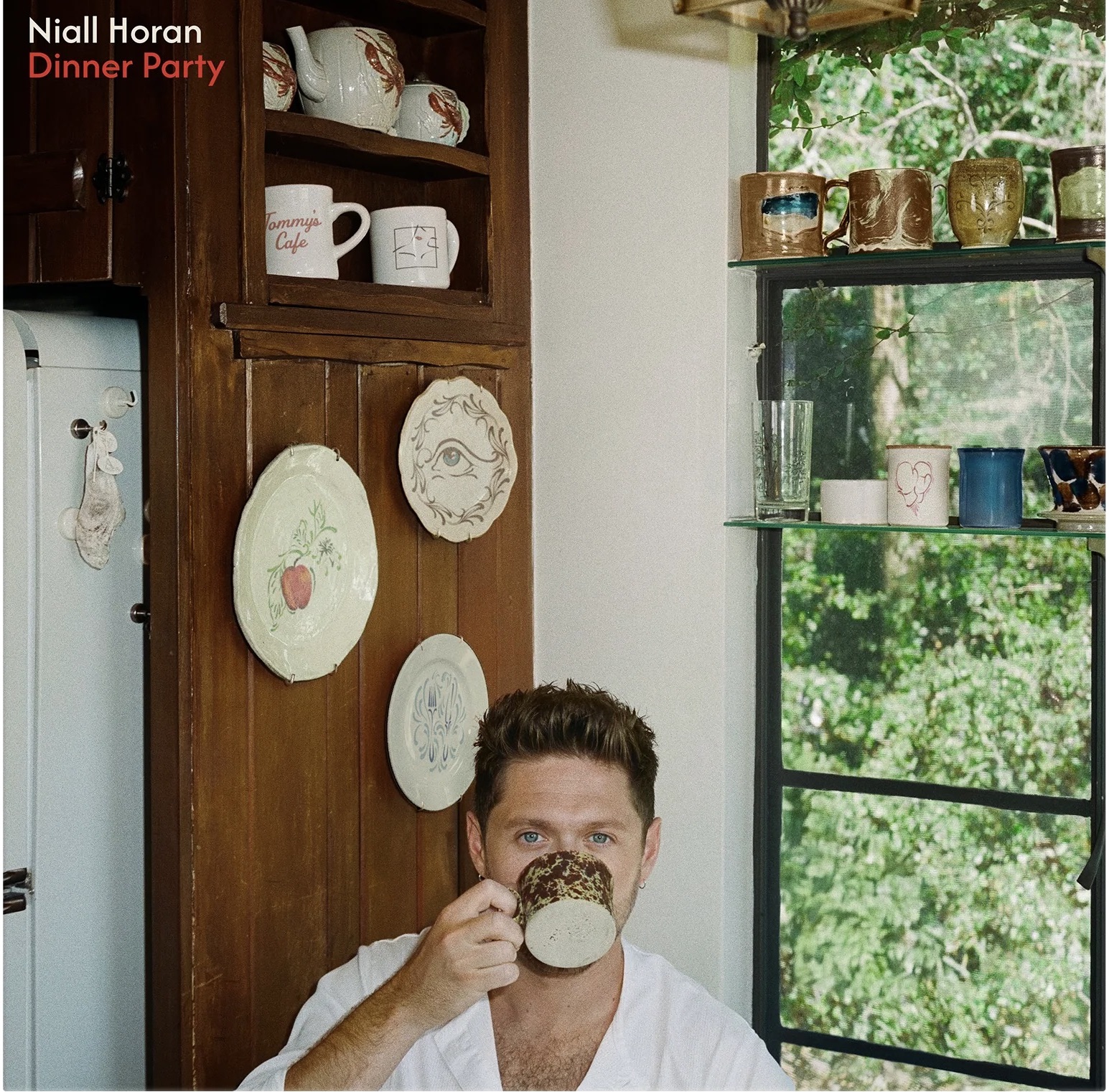 Niall Horan – Dinner Party: Single Review