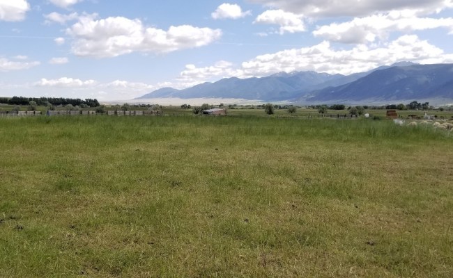 Overgrazing And The Maturing Of An Adaptive Grazing Thought Process ...