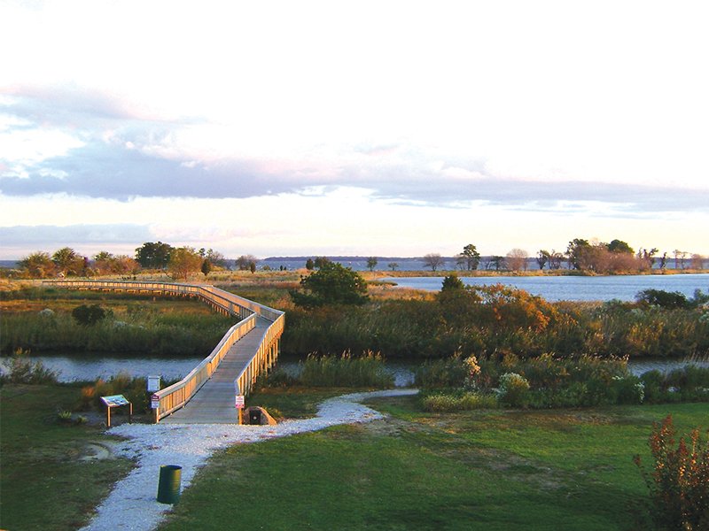 A professional association is an unincorporated business that is formed to provide necessary services to professionals. Find Your Chesapeake Kent Island Attraction