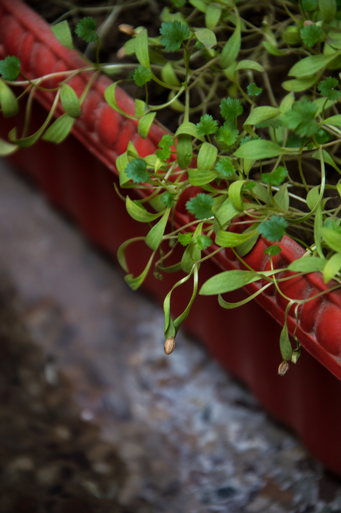 The originating point.