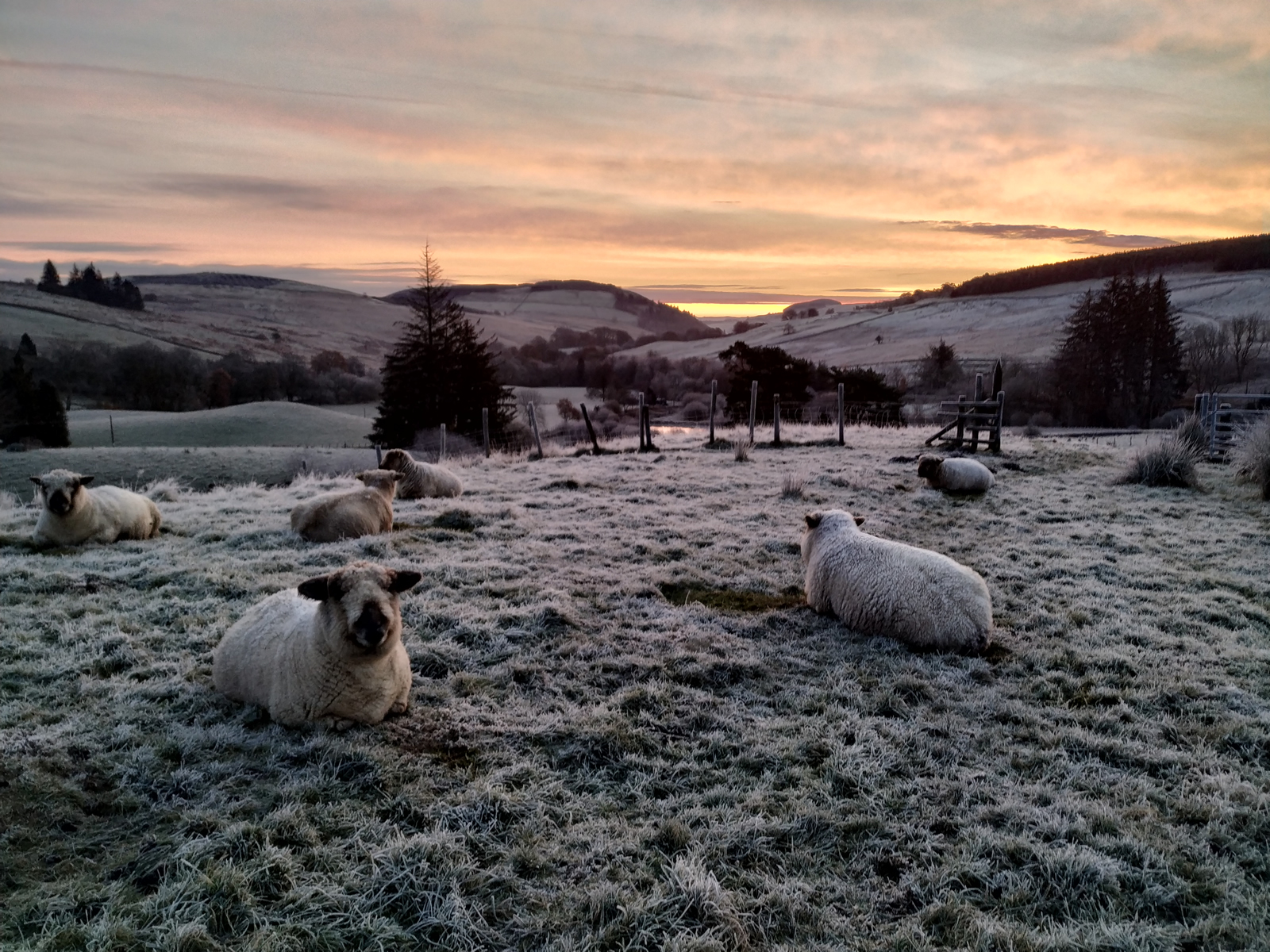 sunrise at auchenstroan