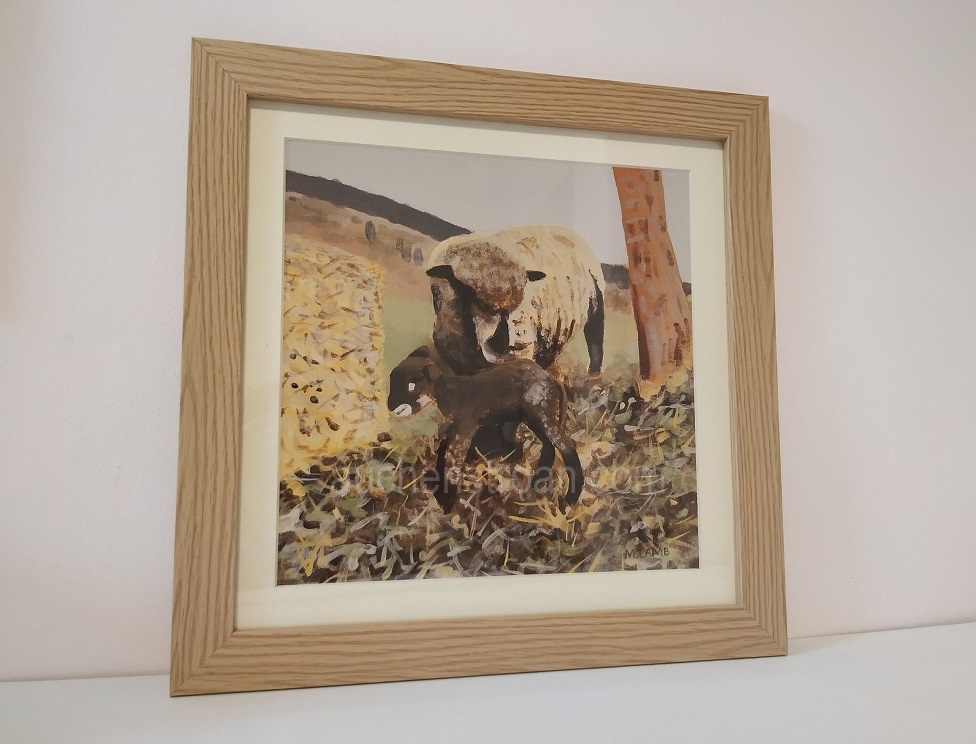 sheep framed print - Witchy & Yogi lamb