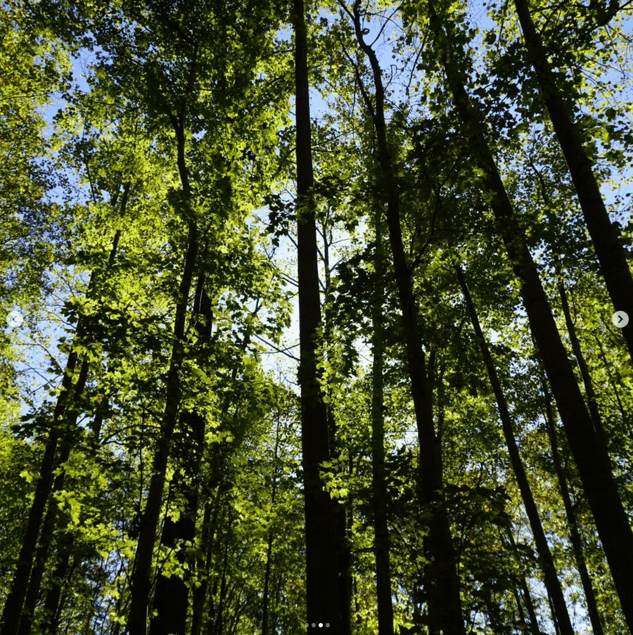 Being Bored in Public