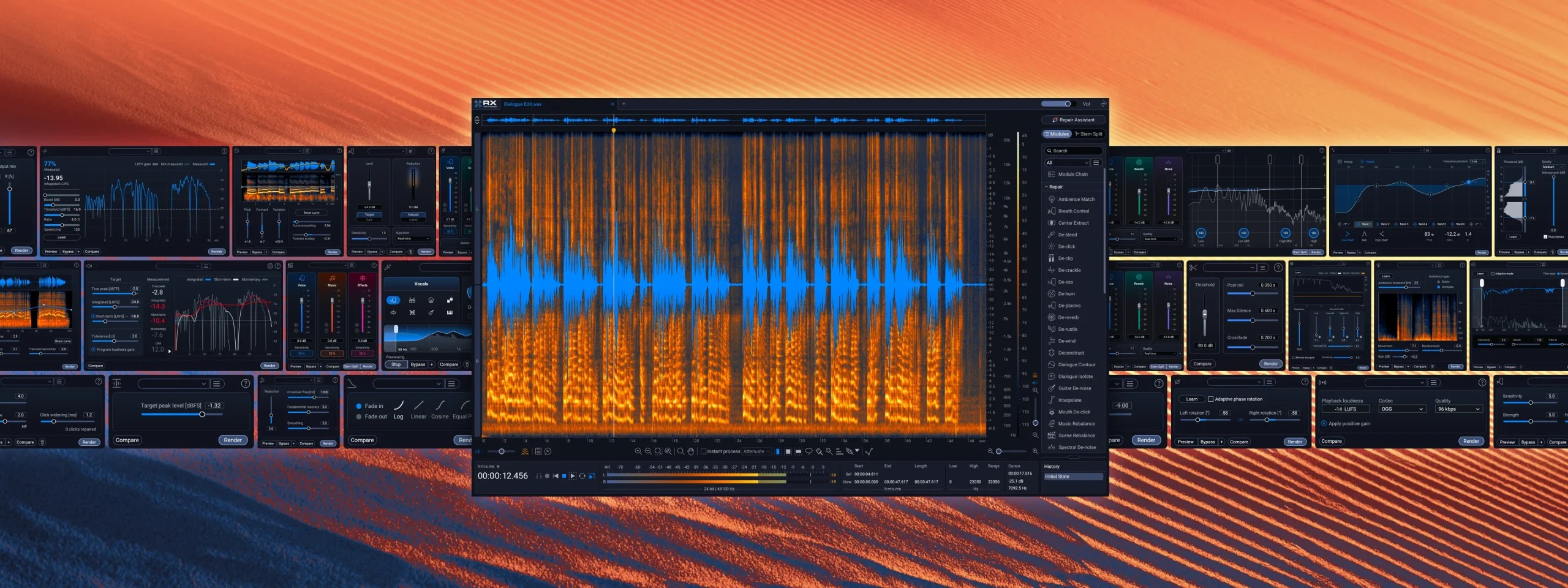 iZotope – RX 12 Audio Editor Advanced 12.0.0 (R2R) VST3 x64
