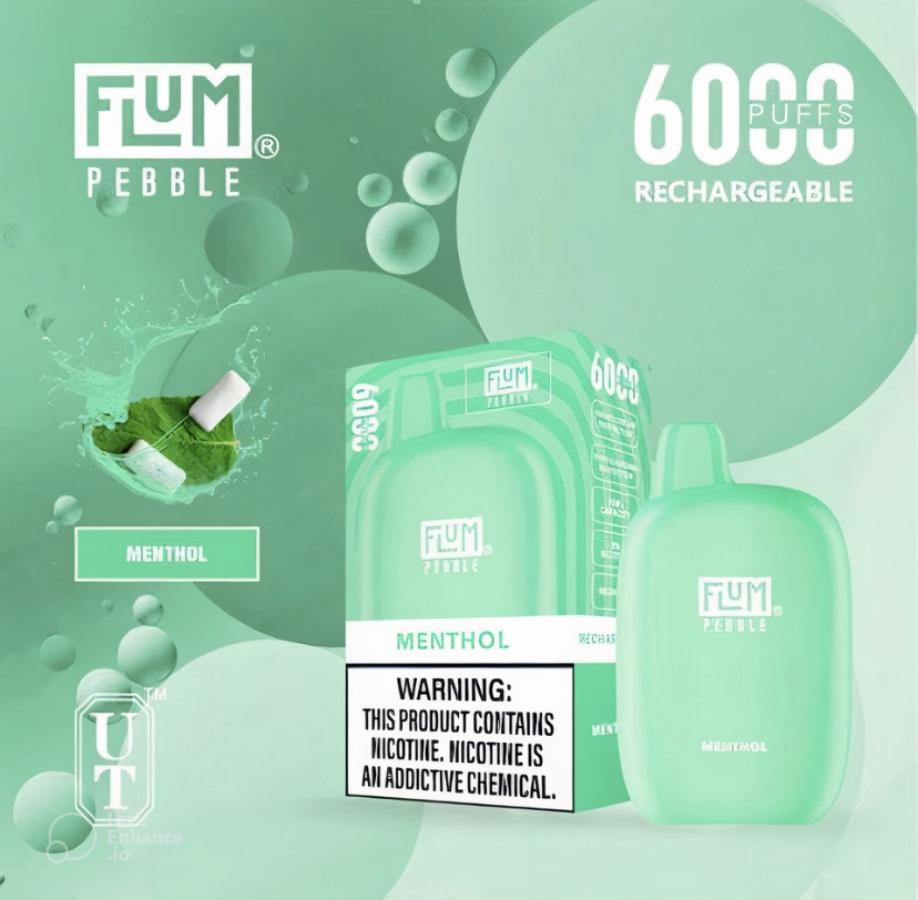Mint Menthol Disposable Vape by Fum Pebble 6000 Puffs Rechargeable Shown with Box and Bottle - Australia E-cigarette Store