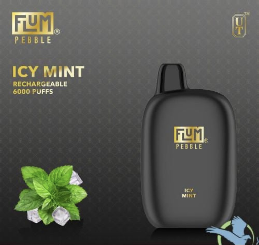 Fum Pebble Icy Mint Rechargeable Vape Device with 6000 Puffs Black Body Logo on Front Mint Leaves and Ice Cubes to the Side - Australia E-cigarette Store