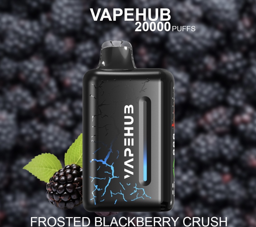 Promotional image of a VapeHUB disposable vape device labeled “Frosted Blackberry Crush” with a blackberry illustration in the foreground and a blurred background.