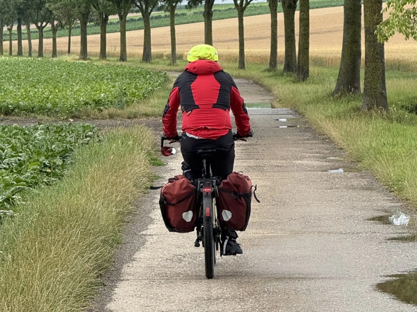 E-Bike Tour mit Gepäck auf einer Allee in Belgien – unterwegs durch verschiedene Regionen