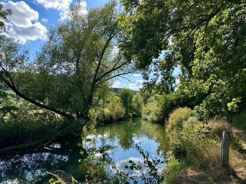 Naturnaher Flusslauf der Nethe mit Bäumen und grüner Ufervegetation