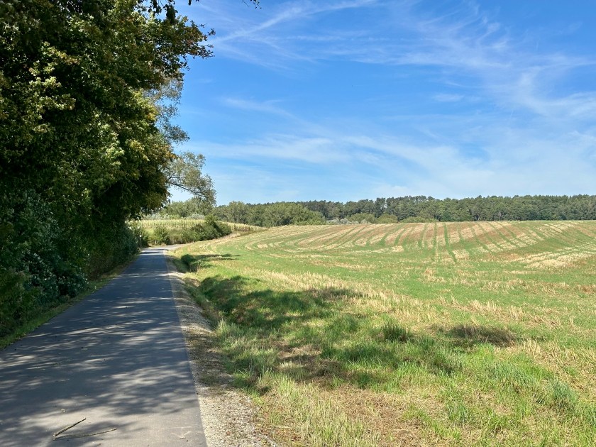 Emmer-Radweg durch Felder und Waldabschnitte bei sonnigem Wetter