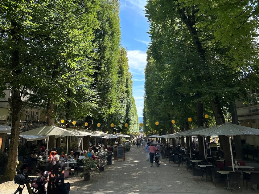 Hauptallee in Bad Pyrmont mit Gastronomie und dichtem Baumdach
