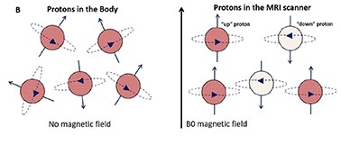 Augusta Dev Augusta Nwosu Github - Professional 8K Ocean Pictures | Free Download
