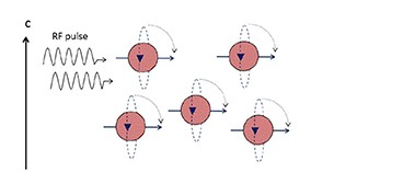 Augusta Dev Augusta Nwosu Github - Download Amazing Ocean Texture | Desktop