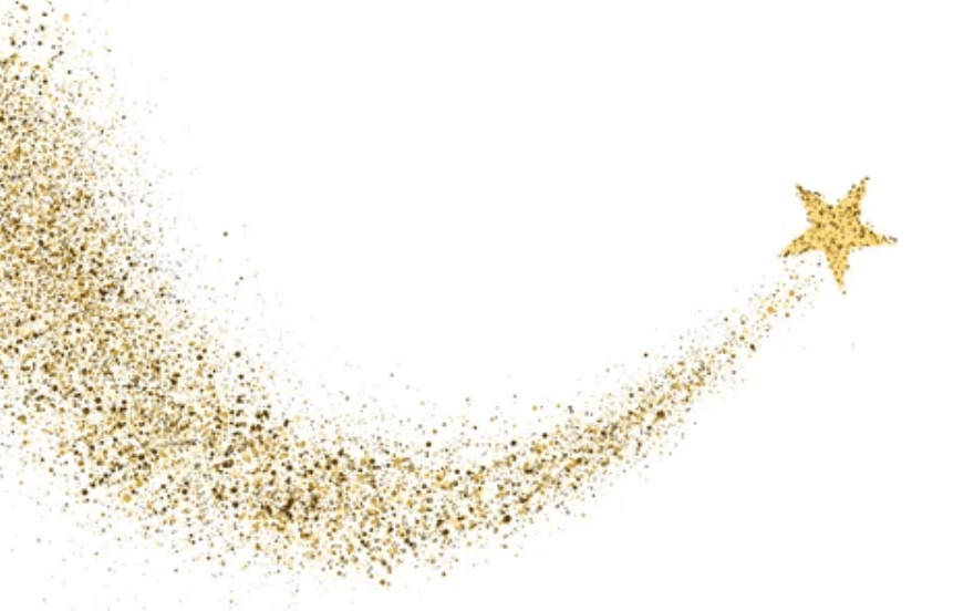 JM ladies Shining Life 2