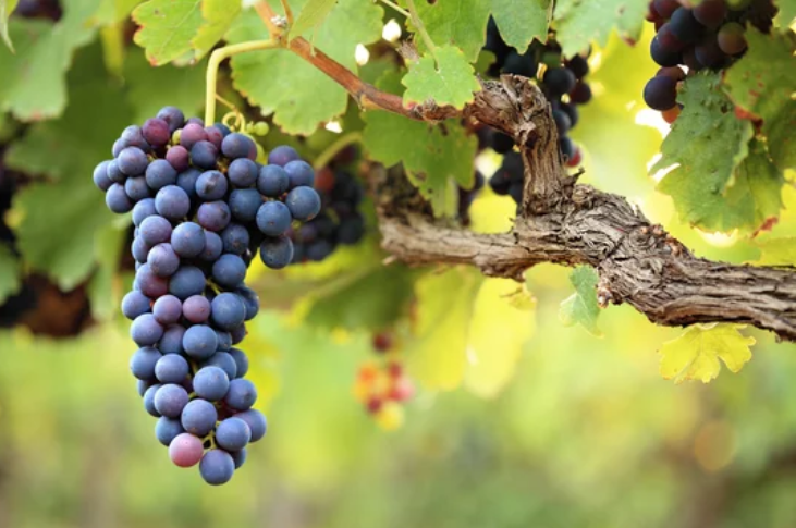 「早晨」、「早晨、剛走了一架小巴」- 不帶有企圖心的人際交流