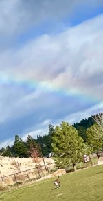 dog park rainbow
