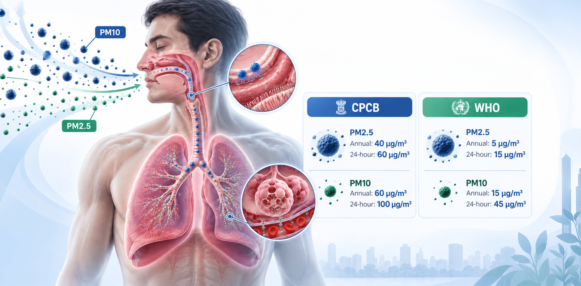 PM2.5 vs PM10 health effects infographic showing particle penetration into the respiratory system with CPCB and WHO air quality limits.
