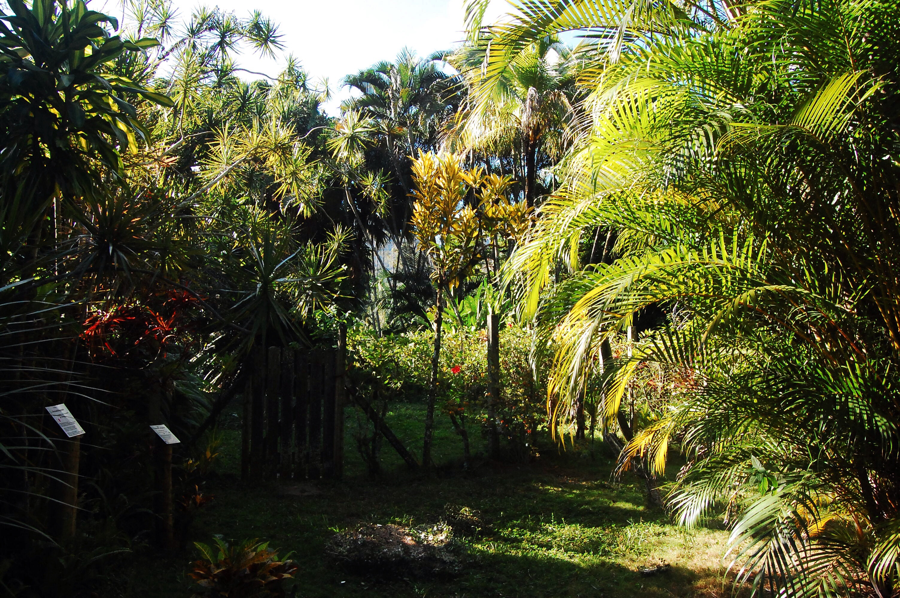 Fazenda