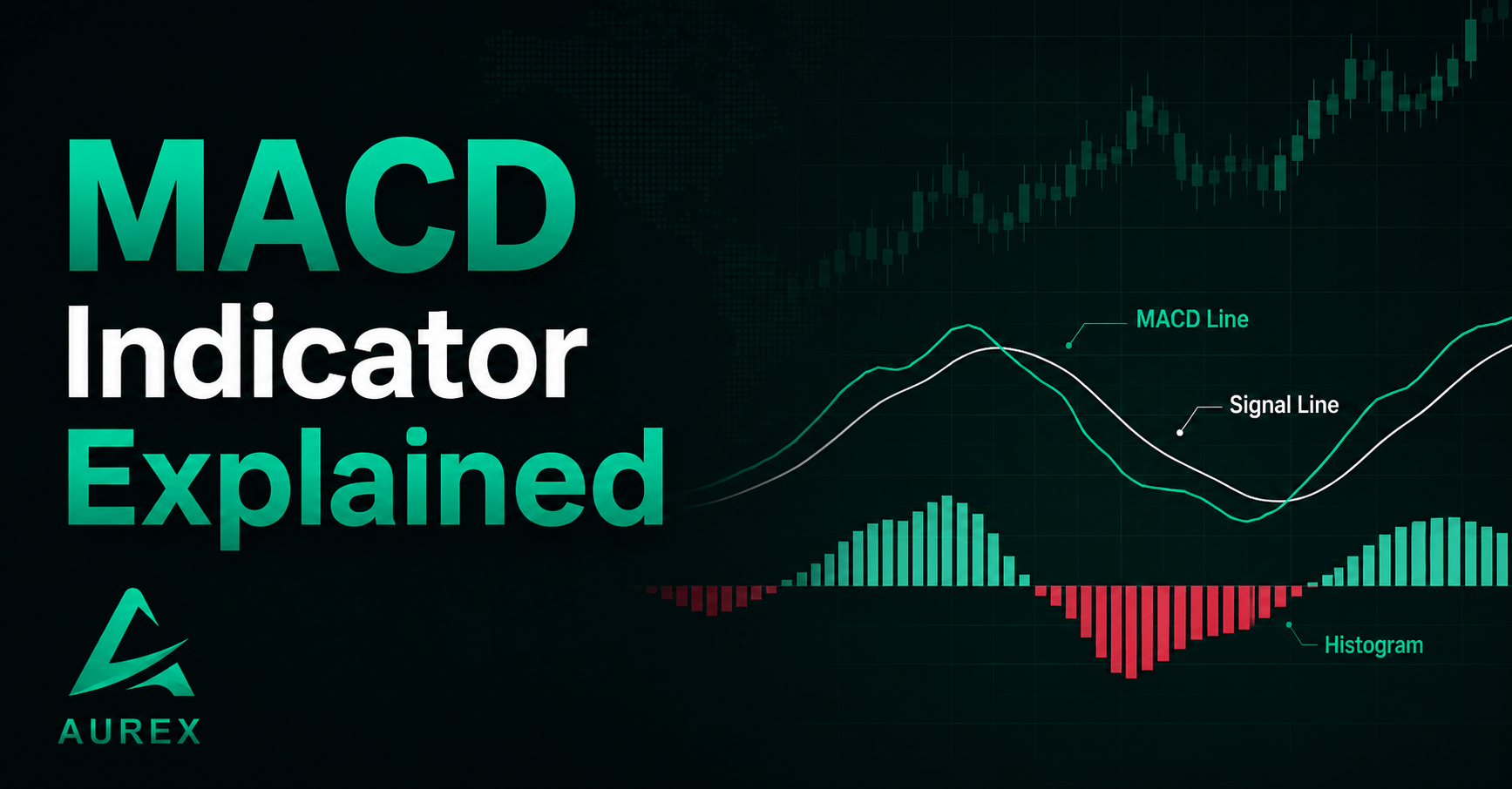 MACD Indicator explained in detail for beginner traders