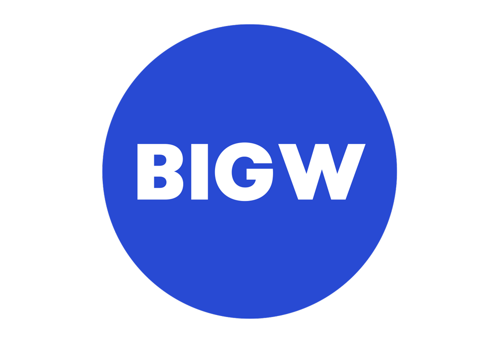 google home hub big w