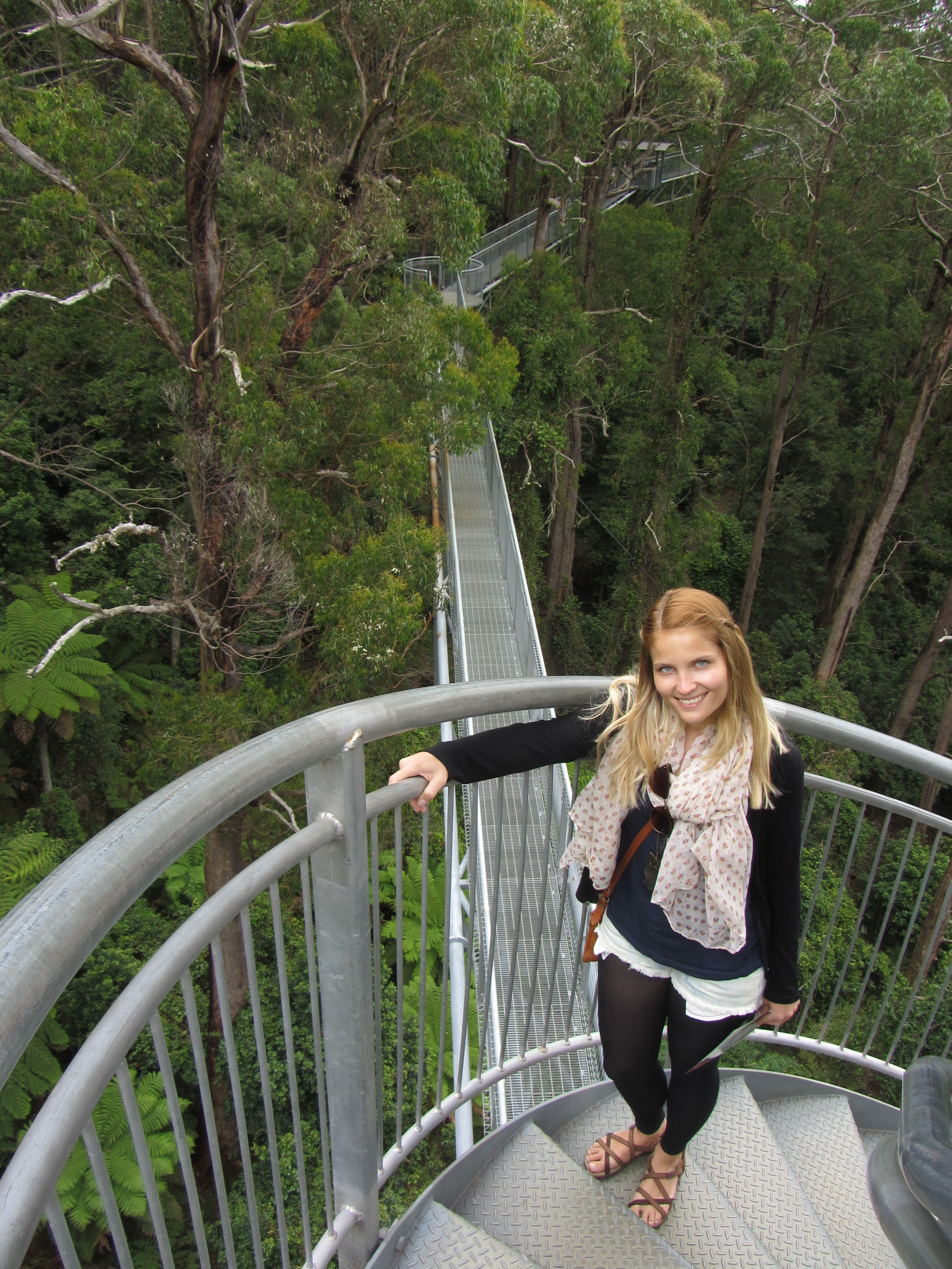 Tree Top Walk