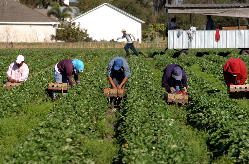 Labor shortage