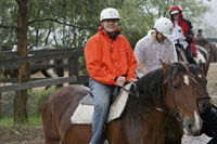 Jenolan caves tour & horse riding blue mountains australia