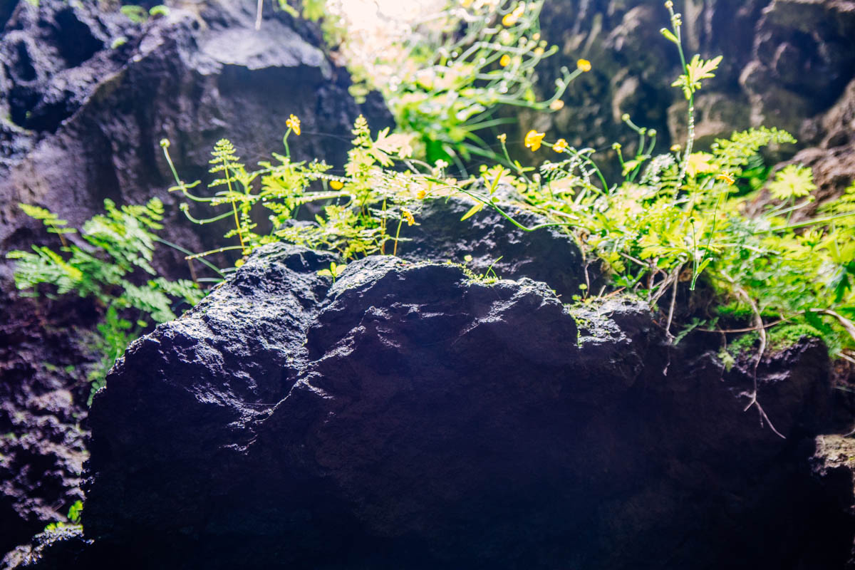 Caves