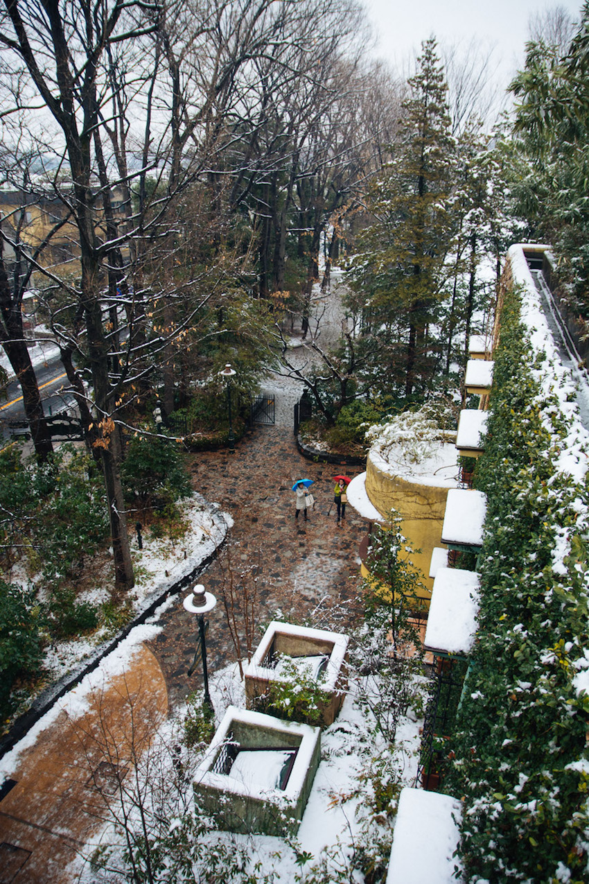 View from the roof