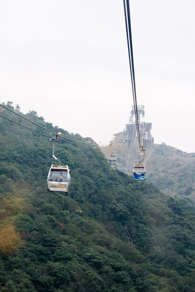 The gondolas