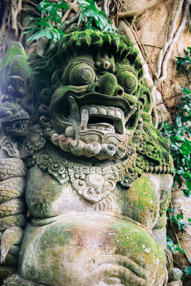 Monkey Forest