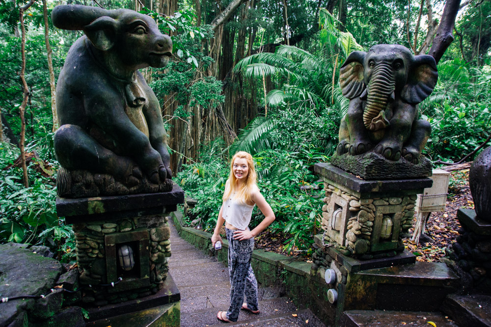 Monkey Forest