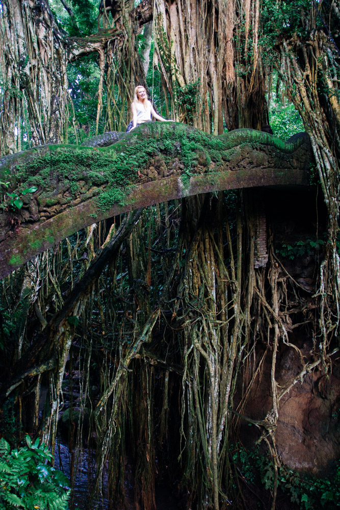 Monkey Forest