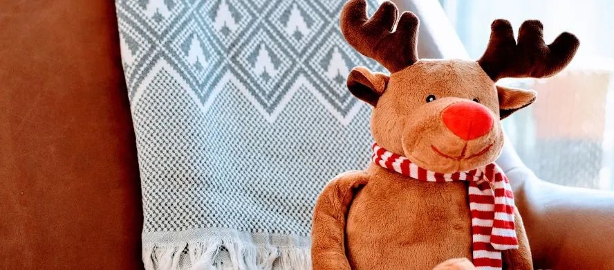 Christmas Custom Gifts and Decoration In 2022