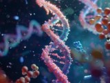 Dna Replication 3d Dna Replication Stock Image G110 0949 Science