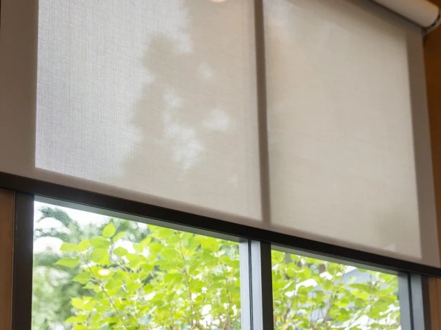 Roller Shades