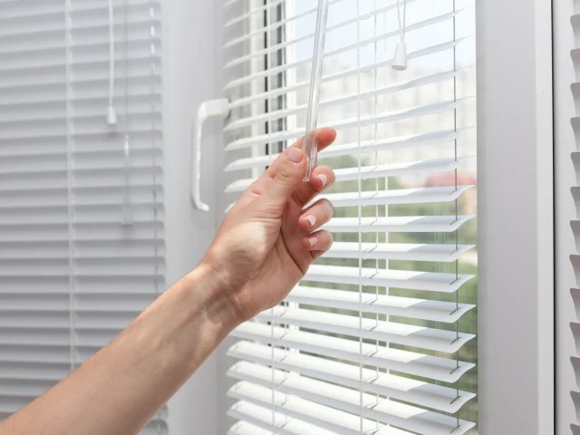 Vinyl Blinds (2)