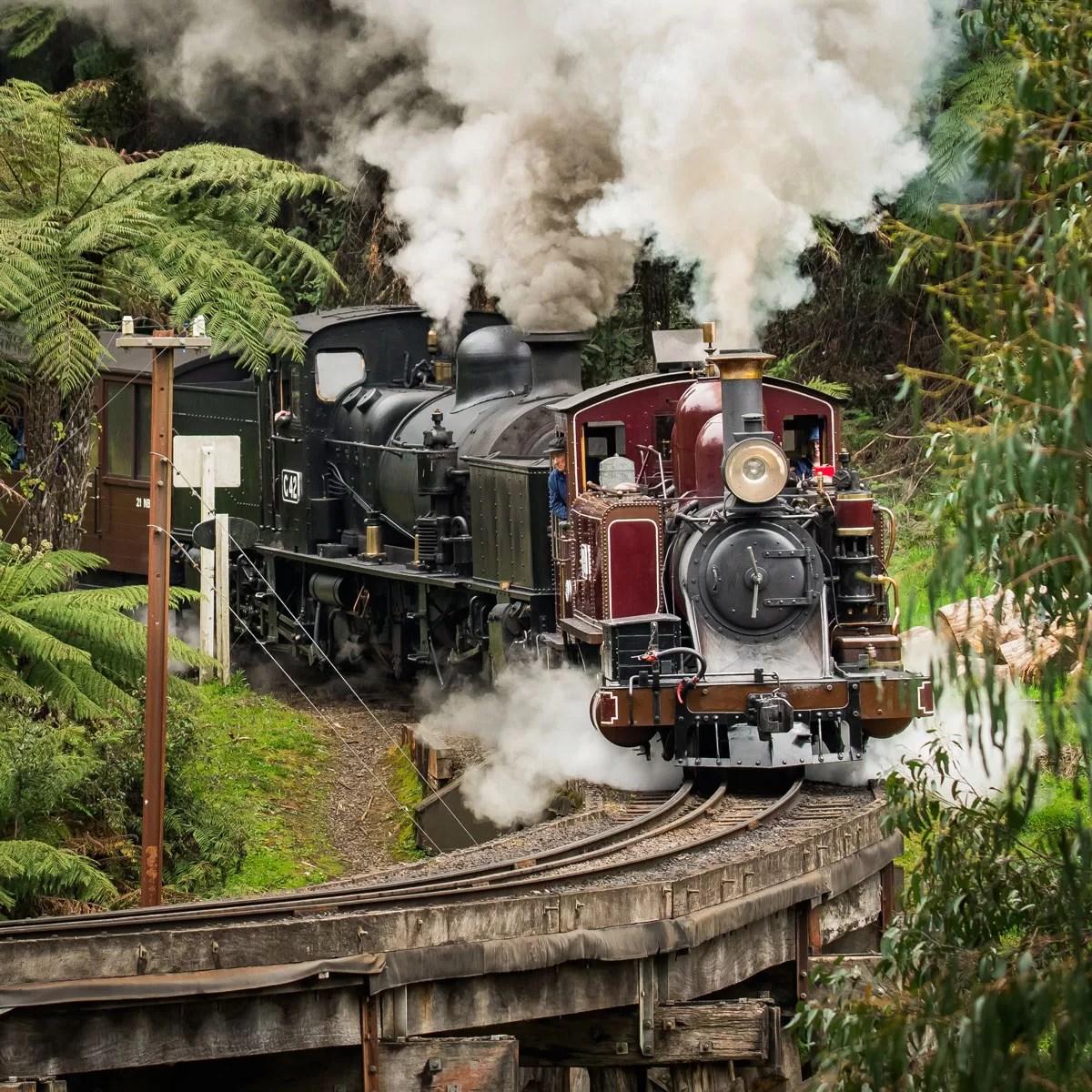 Can you do a steam train ride in Melbourne?