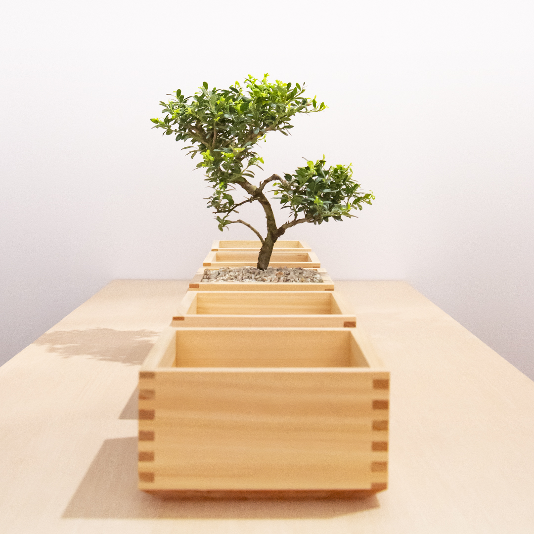 INAX Tiles, Milan launch